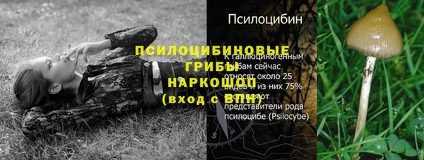 экстази Абинск