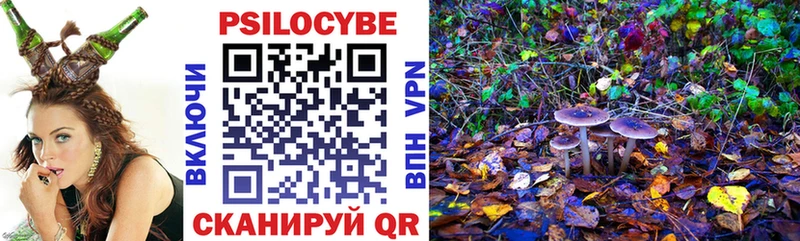 купить цена Южа Псилоцибиновые грибы Magic Shrooms